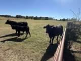 5258 Co Rd 1635 - Photo 34