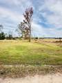 5505 Alabama Hwy 101 - Photo 4