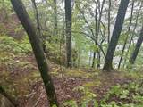 Lot 2 Co Rd 198 - Photo 11