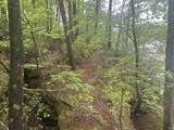 Lot 2 Co Rd 198 - Photo 12
