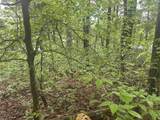Lot 2 Co Rd 198 - Photo 15