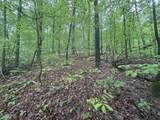 Lot 2 Co Rd 198 - Photo 16