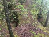 Lot 2 Co Rd 198 - Photo 9