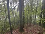 Lot 1 Co Rd 198 - Photo 19