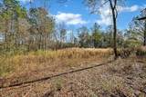 78 Co Rd 640 - Photo 6
