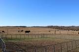 609 Gene Brown Rd - Photo 37