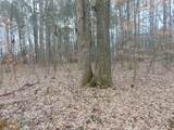 11 Bob Section Rd - Photo 12