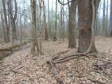 11 Bob Section Rd - Photo 13