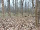 11 Bob Section Rd - Photo 14