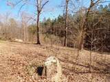 450 Fawn Lake Bridge Rd - Photo 27
