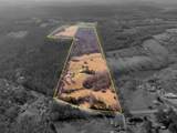 2645 Pineywoods Rd - Photo 40