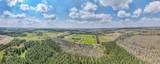 875 Co Rd 132 - Photo 19