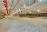 875 Co Rd 132 - Photo 26