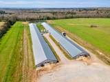 875 Co Rd 132 - Photo 10