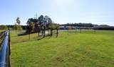 342 Ashland Dr - Photo 24