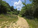 390 Co Rd 1497 - Photo 12
