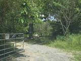 390 Co Rd 1497 - Photo 18