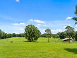 1021 Wallace Looney Rd - Photo 3