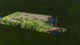 10881 Hwy 17 - Photo 11
