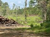 10881 Hwy 17 - Photo 4