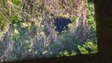 10881 Hwy 17 - Photo 10