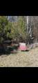307 Roberts St - Photo 2