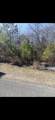 307 Roberts St - Photo 3