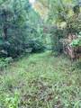 250 Mobley Crossing - Photo 32