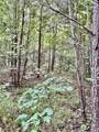 250 Mobley Crossing - Photo 35