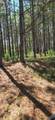 000 Frankfort Rd - Photo 3