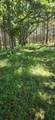 000 Frankfort Rd - Photo 4