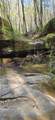 000 Frankfort Rd - Photo 5