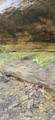 000 Frankfort Rd - Photo 9