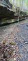 000 Frankfort Rd - Photo 10