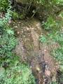 114 Co Rd 326 - Photo 31