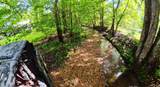 995 Indian Springs Rd - Photo 15