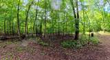 995 Indian Springs Rd - Photo 10