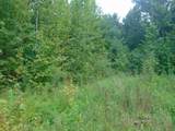 0 Snake Rd - Photo 15