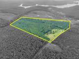 4243 Cotton Gin Rd - Photo 2