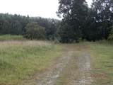 4243 Cotton Gin Rd - Photo 13