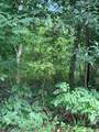 0 Willingham Hill Rd - Photo 5