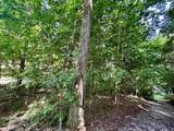 0 Paradise Dr - Photo 4