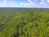 Lot 1 Cedar Ridge Rd - Photo 59