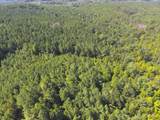 Lot 2 Cedar Ridge Rd - Photo 24
