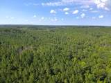 Lot 2 Cedar Ridge Rd - Photo 26