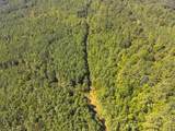 Lot 2 Cedar Ridge Rd - Photo 62