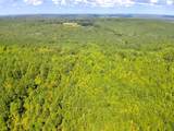 Lot 3 Cedar Ridge Rd - Photo 76