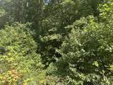 Lot 4 Cedar Ridge Rd - Photo 5