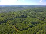 Lot 4 Cedar Ridge Rd - Photo 57