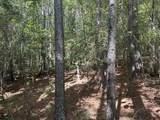 Lot 5 Cedar Ridge Rd - Photo 8